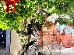 -院里寻菜·精致庭院菜(观沙岭店)