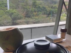 -百年果林椰子鸡(中洲店)