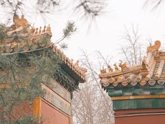 -雍和宫