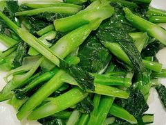 白灼广东菜心-月福京味斋·烤鸭店·北京菜(鼓楼总店)