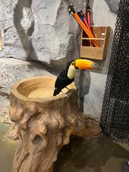 -Zoolung Zoolung动物主题公园(海信广场店)