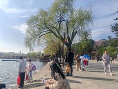 -长春市南湖公园