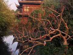-韩湘水博园
