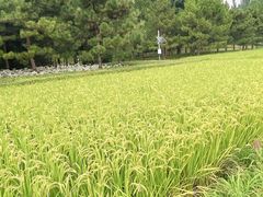 -北坞公园