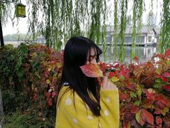 -西安汉城湖景区