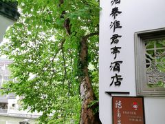 -南京夜泊秦淮君亭酒店·金陵书画院