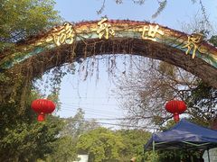 -南宁良凤江国家森林公园