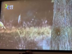 -华夏良子·足道SPA艾灸(王府井店)