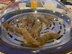 -德兴show鲜·蒸汽海鲜火锅餐厅(格创悦里店)