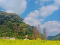 -广州市石门国家森林公园