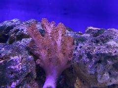 -太奥幻太奇海洋馆
