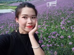 -大塘金香草谷