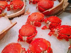 -上海大宁福朋喜来登酒店大堂吧(共和新路店)