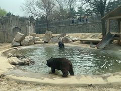 -石家庄市动物园