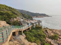 -广东惠东海龟国家级自然保护区
