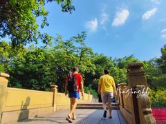 -晓港公园
