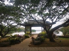 -江心屿景区