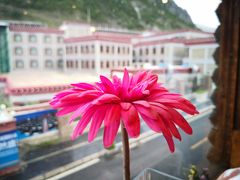 -桑吉林新派藏餐·汤锅·川菜