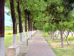 -汉长安城未央宫国家考古遗址公园