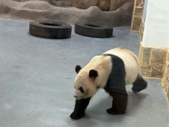 -无锡动物园·太湖欢乐园