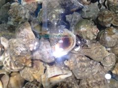 -蓝珊甄选海鲜自助·火锅大排档(近阿那亚店)