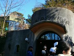 -三鹰之森吉卜力美术馆