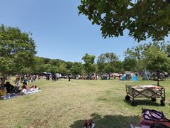 -牛岗山公园