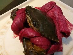 -鑫悦楼煎蟹·16年海鲜大排档