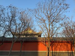 -天津妈祖文化园