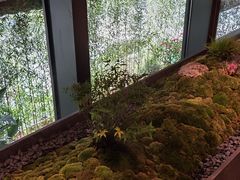 -物心空间