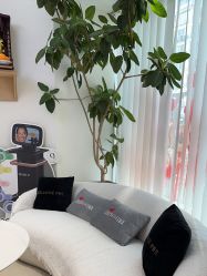 -WENDY·温迪皮肤管理