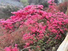 -木兰云雾山