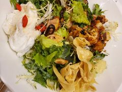 -油梨树AVOCADO TREE(望京店)