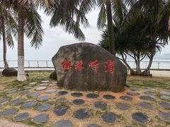 -万绿园
