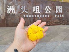 -洲头咀公园