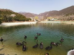 -静之湖度假区