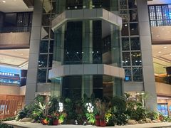 -上海新锦江大酒店