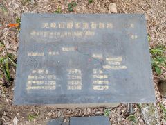 -杭州植物园