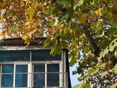 -姚记六鲜面(大方巷店)