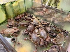 -大茄来海鲜餐厅(亚洲城分行)
