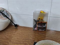 -松树干拌面店