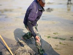 -北海金海湾红树林生态旅游区