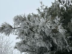 -华山风景名胜区