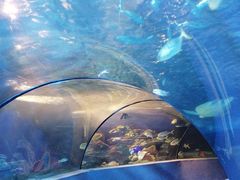 -太平洋海底世界