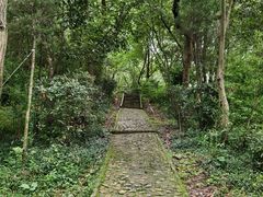 -上海佘山国家森林公园天马山园