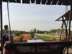 -完美新娘婚纱摄影