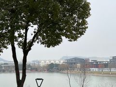 -羊山湖公园