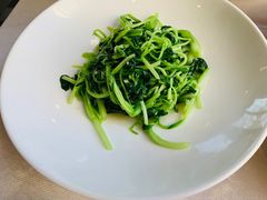 -食神鱼头佛跳墙(百子湾旗舰店)