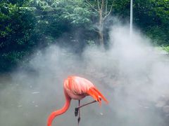 -上海野生动物园