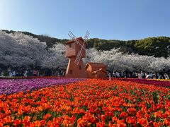 -苏州上方山国家森林公园
